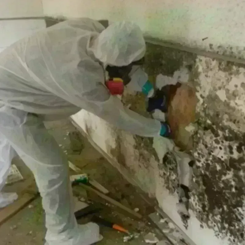 Mold Remediation and Removal in Milford Mill, MD